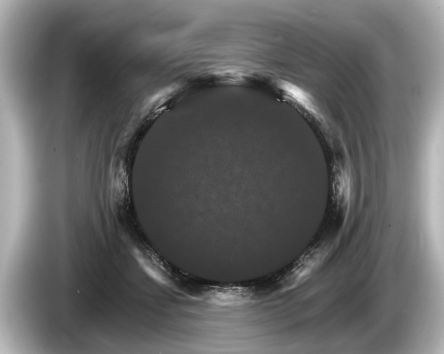 X0000085300459200703161437