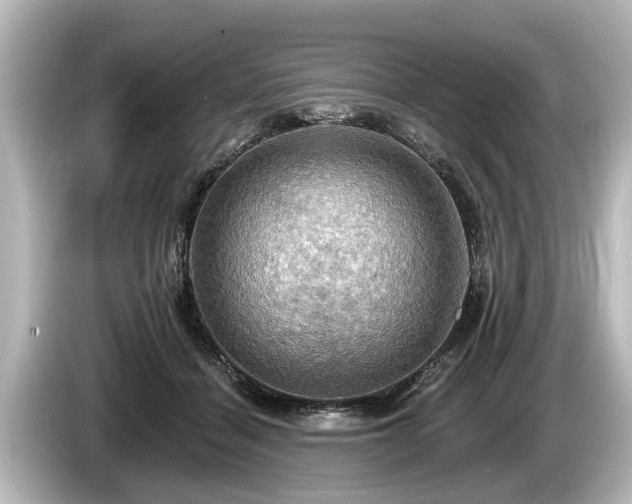 X0000085300460200703161437