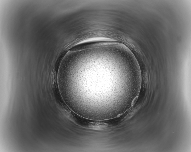 X0000085300463200703161437