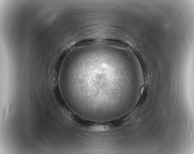 X0000085300464200703161437