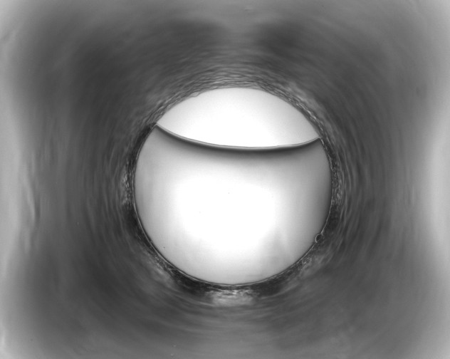 X0000085300465200703161437