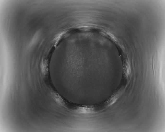 X0000085300466200703161437