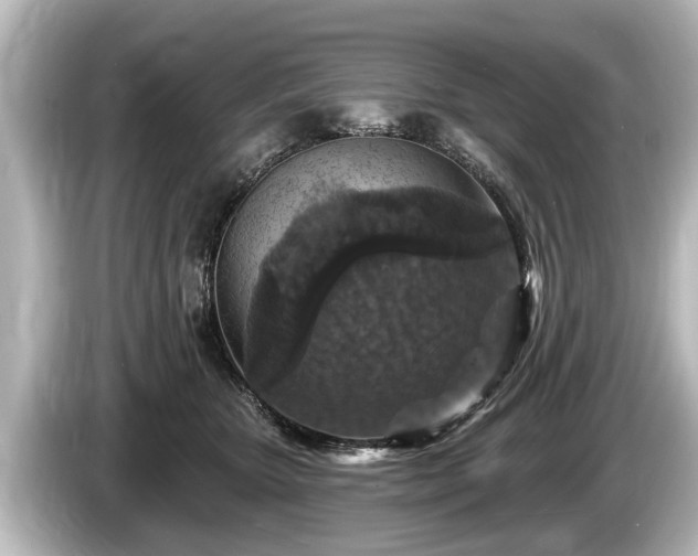 X0000085300467200703161437