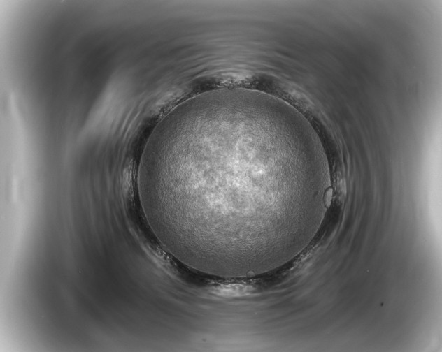 X0000085300468200703161437