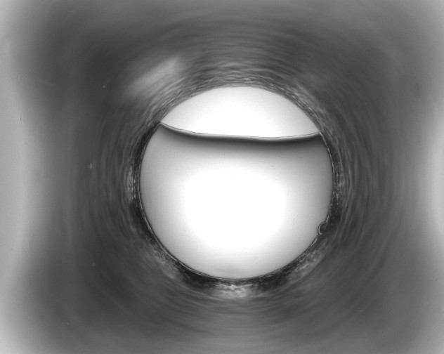 X0000085300469200703161437