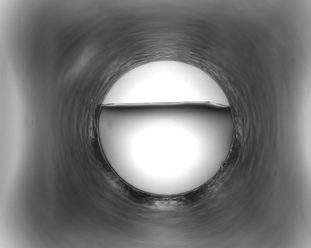 X0000085300470200703161437