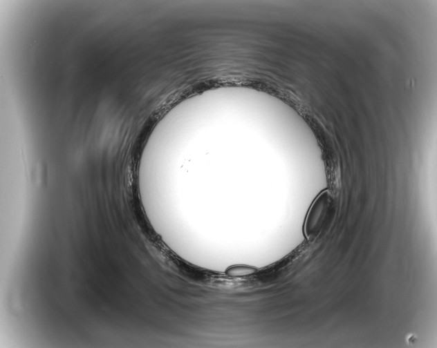 X0000085300472200703161437