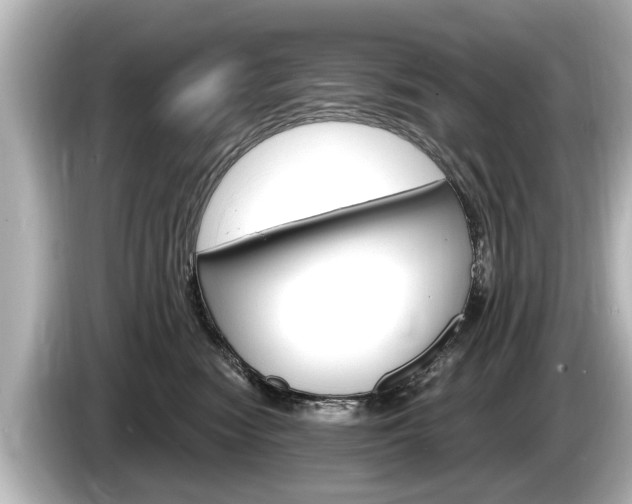 X0000085300474200703161437