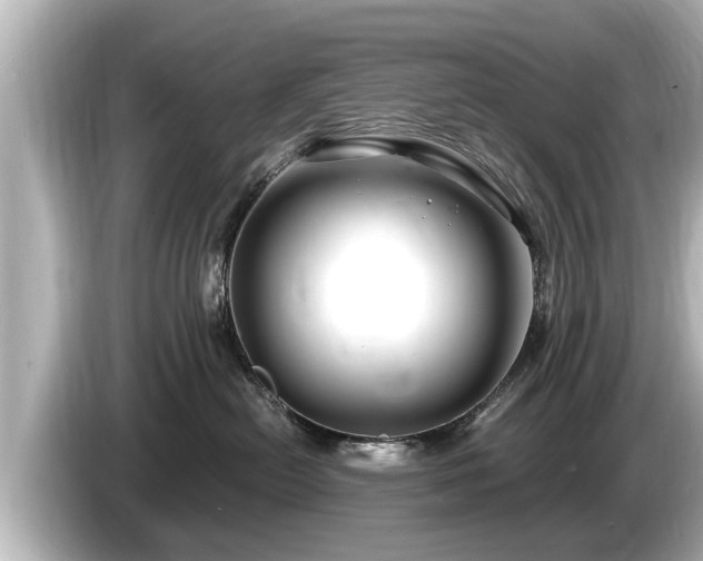 X0000085300478200703161437