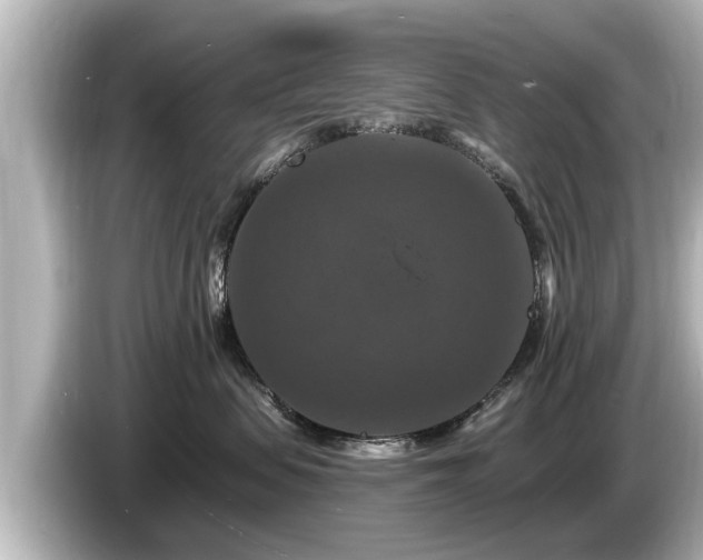 X0000085300479200703161437