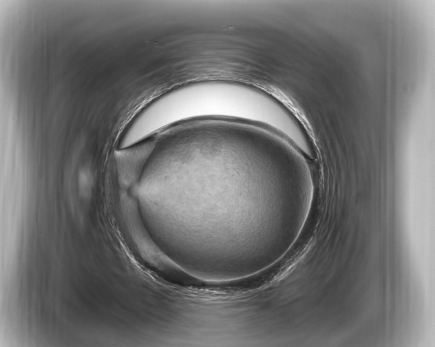 X0000085300481200703161436