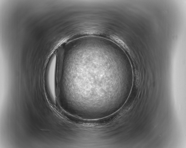 X0000085300482200703161436