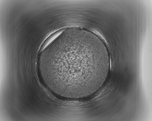 X0000085300483200703161436