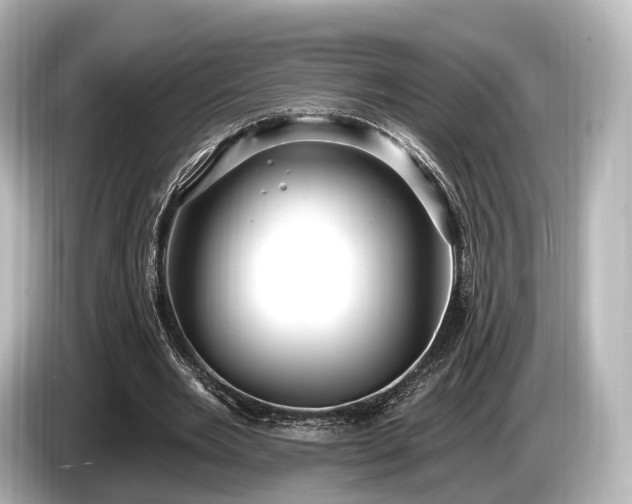 X0000085300485200703161436