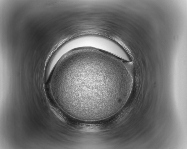 X0000085300486200703161436