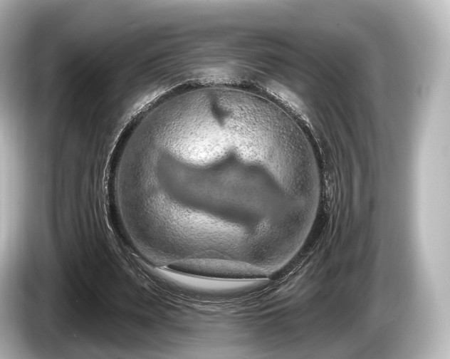 X0000085300487200703161436