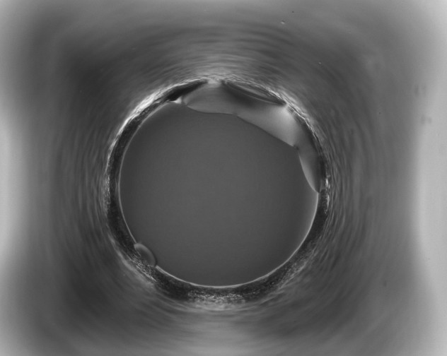 X0000085300488200703161436