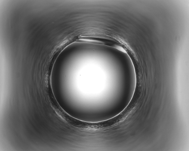 X0000085300489200703161436