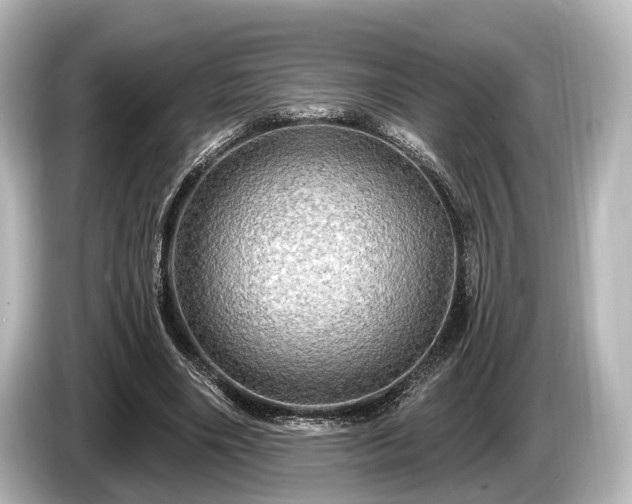 X0000085300490200703161436