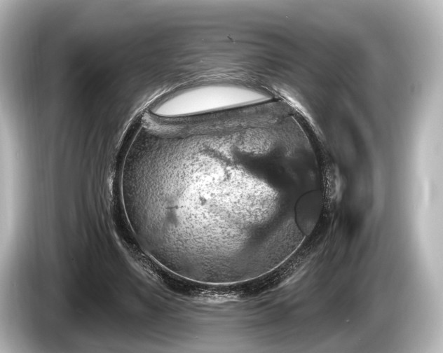 X0000085300491200703161436