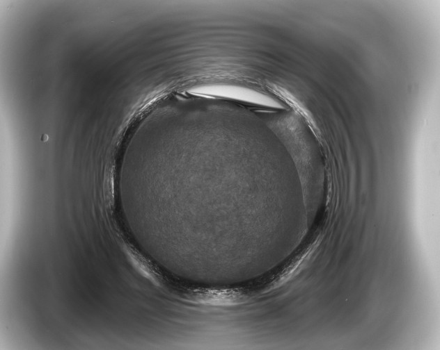 X0000085300493200703161436