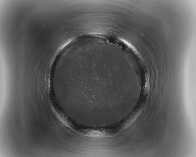 X0000085300494200703161436