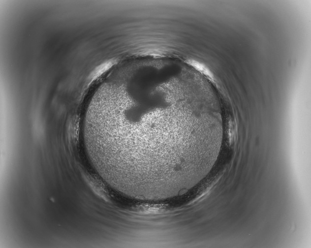 X0000085300495200703161436