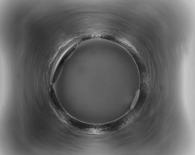 X0000085300496200703161436