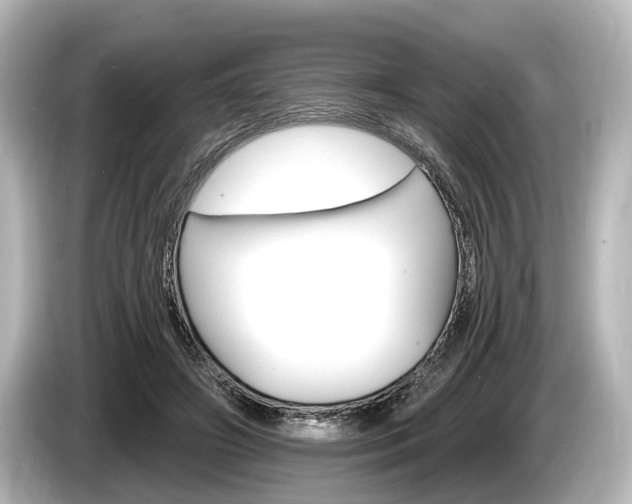 X0000085300498200703161436