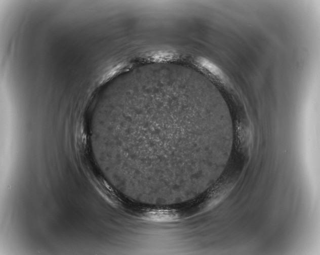 X0000085300499200703161436