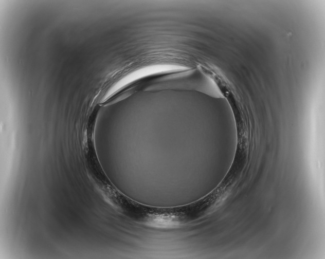 X0000085300500200703161436