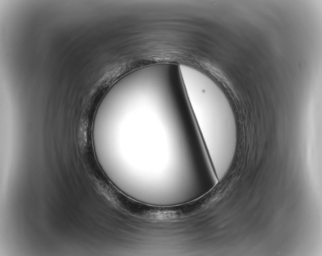 X0000085300501200703161436