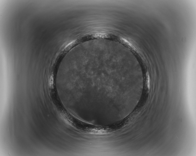 X0000085300502200703161436