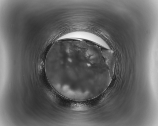 X0000085300503200703161436