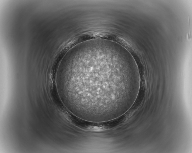 X0000085300506200703161436