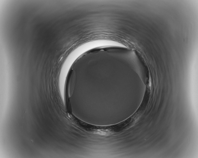 X0000085300508200703161436