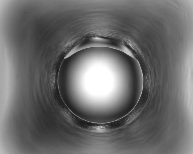 X0000085300509200703161436