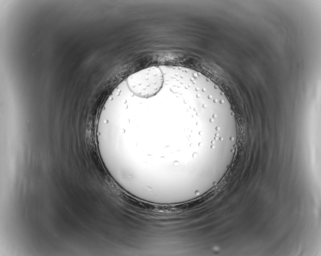 X0000085300510200703161436