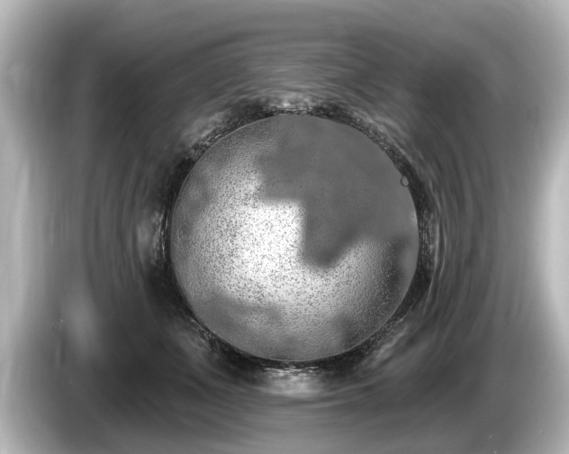 X0000085300511200703161436