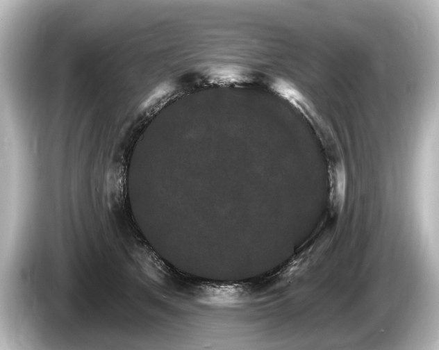 X0000085300513200703161436