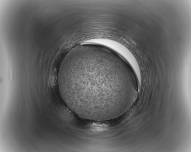 X0000085300515200703161436