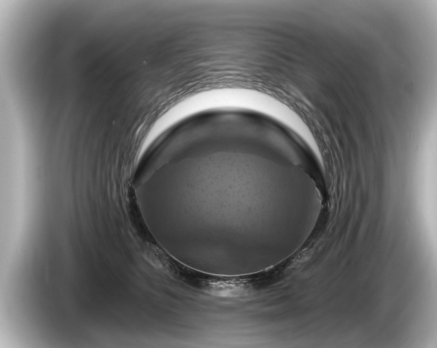 X0000085300516200703161436