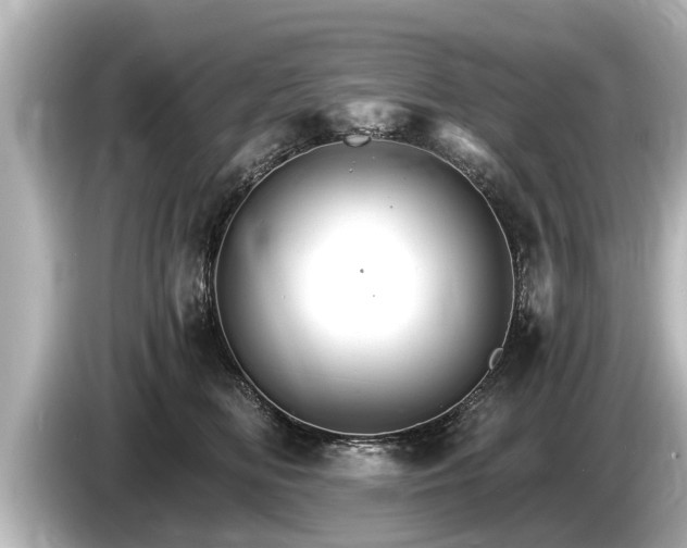 X0000085300518200703161436