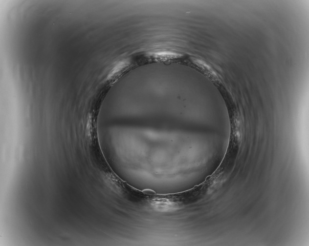 X0000085300519200703161436