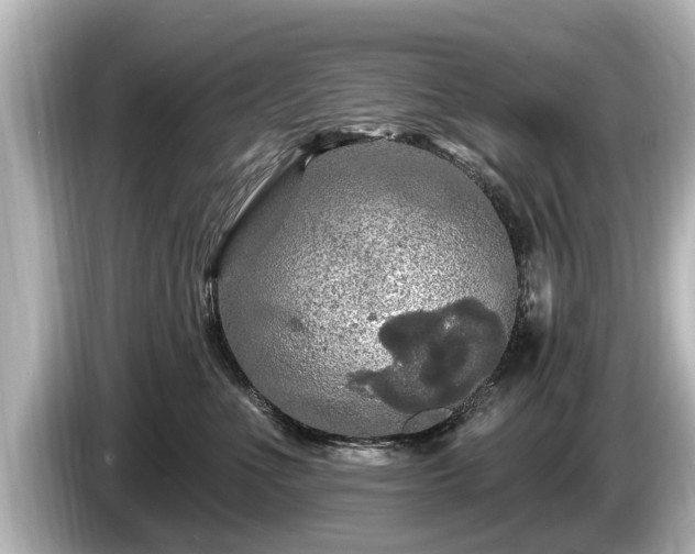 X0000085300523200703161436