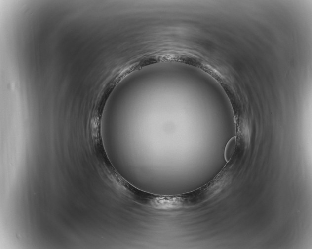 X0000085300526200703161436