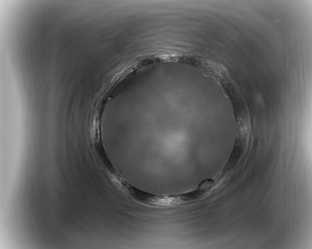 X0000085300527200703161436