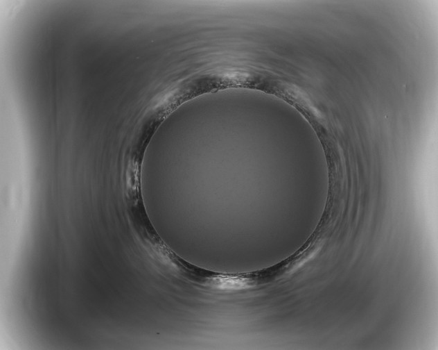 X0000085300528200703161436