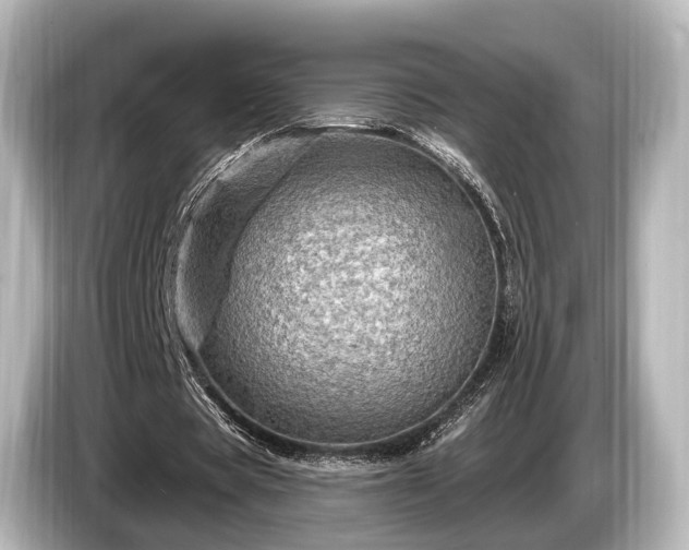 X0000085300529200703161435