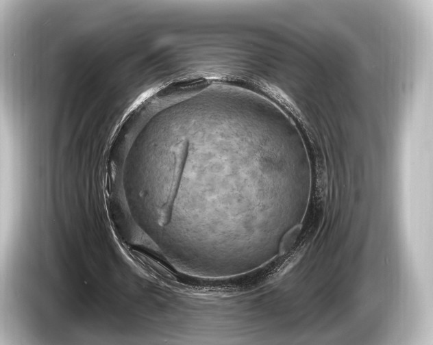 X0000085300530200703161435